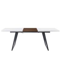 Стол DT-93B белый матовый/орех. Фото №1