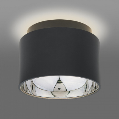 Накладной светильник Elektrostandard 1069 GX53 a053057. Фото