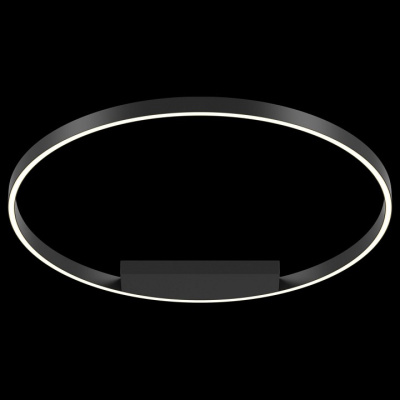 Накладной светильник Maytoni Rim MOD058CL-L50B4K фото Накладной светильник Maytoni Rim MOD058CL-L50B4K. Фото №2