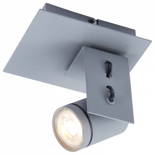 Спот Lussole Dillingham LSP-8022 фото Спот Lussole Dillingham LSP-8022. Фото №1