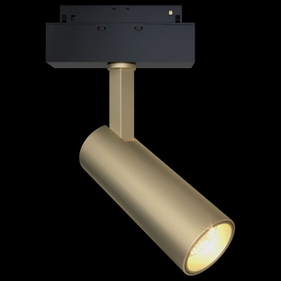 Светильник на штанге Maytoni Focus LED TR019-2-10W3K-MG. Фото №2